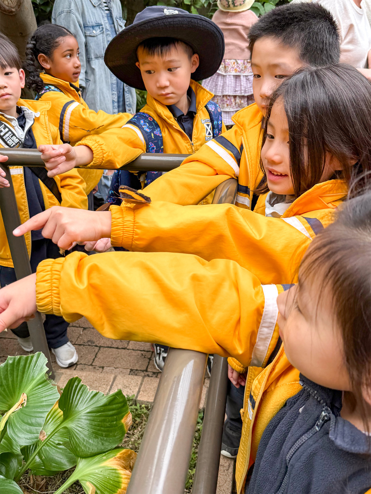 St. Andrews Christian College