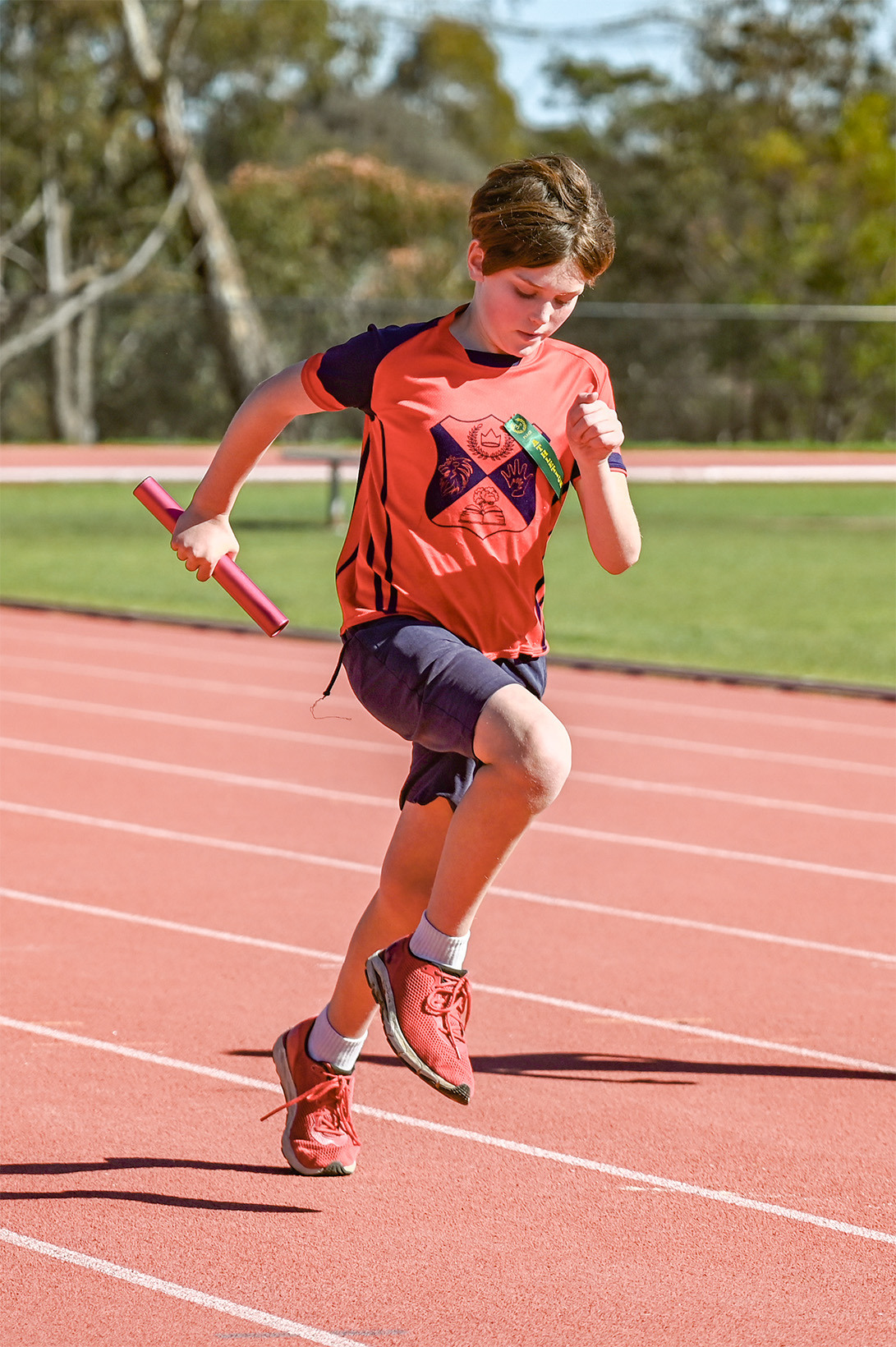 St. Andrews Christian College