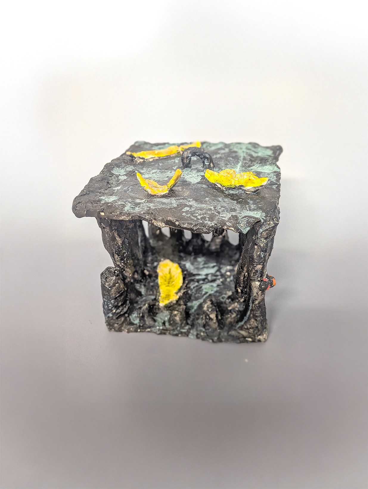 St. Andrews Christian College