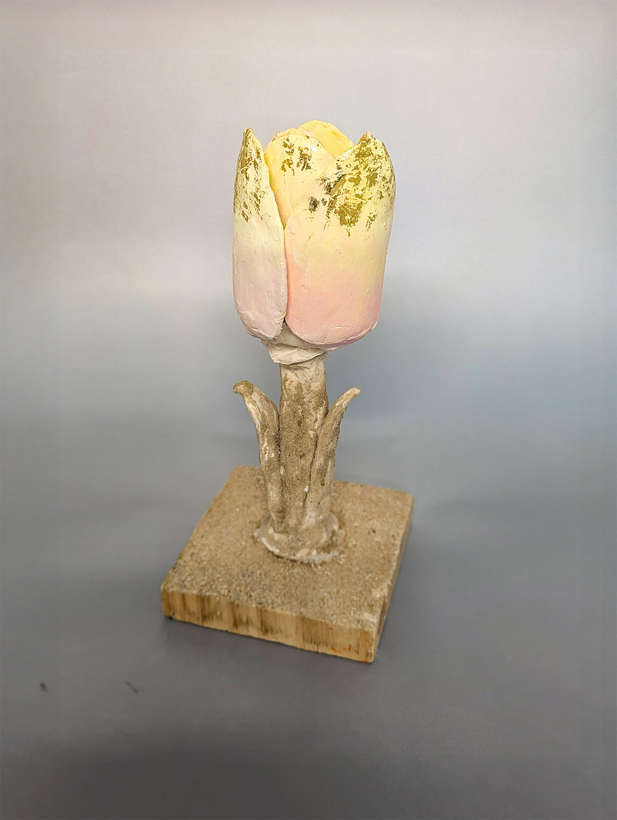 St. Andrews Christian College