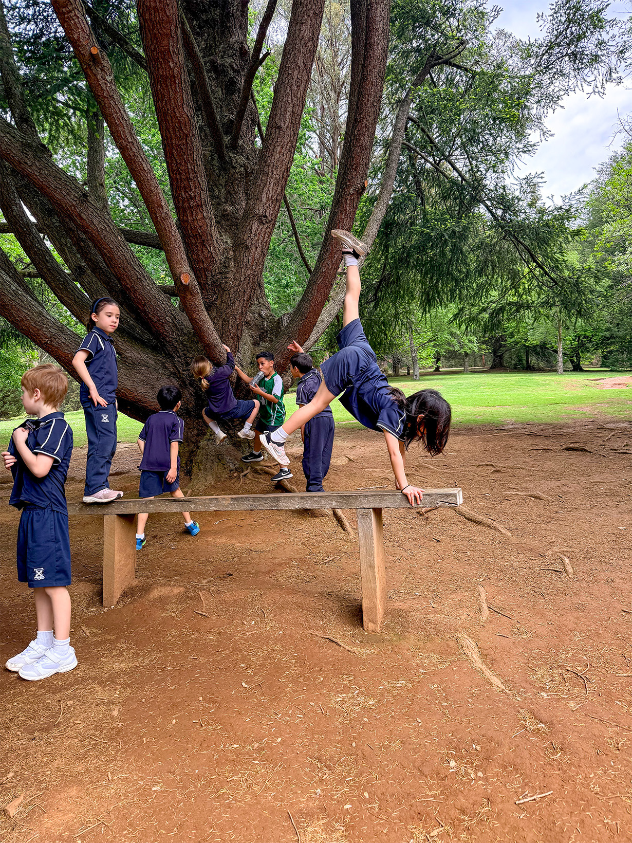 St. Andrews Christian College