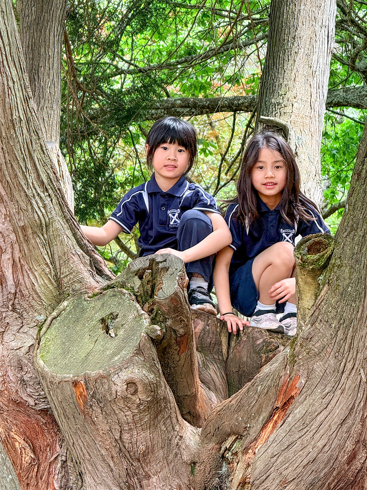 St. Andrews Christian College