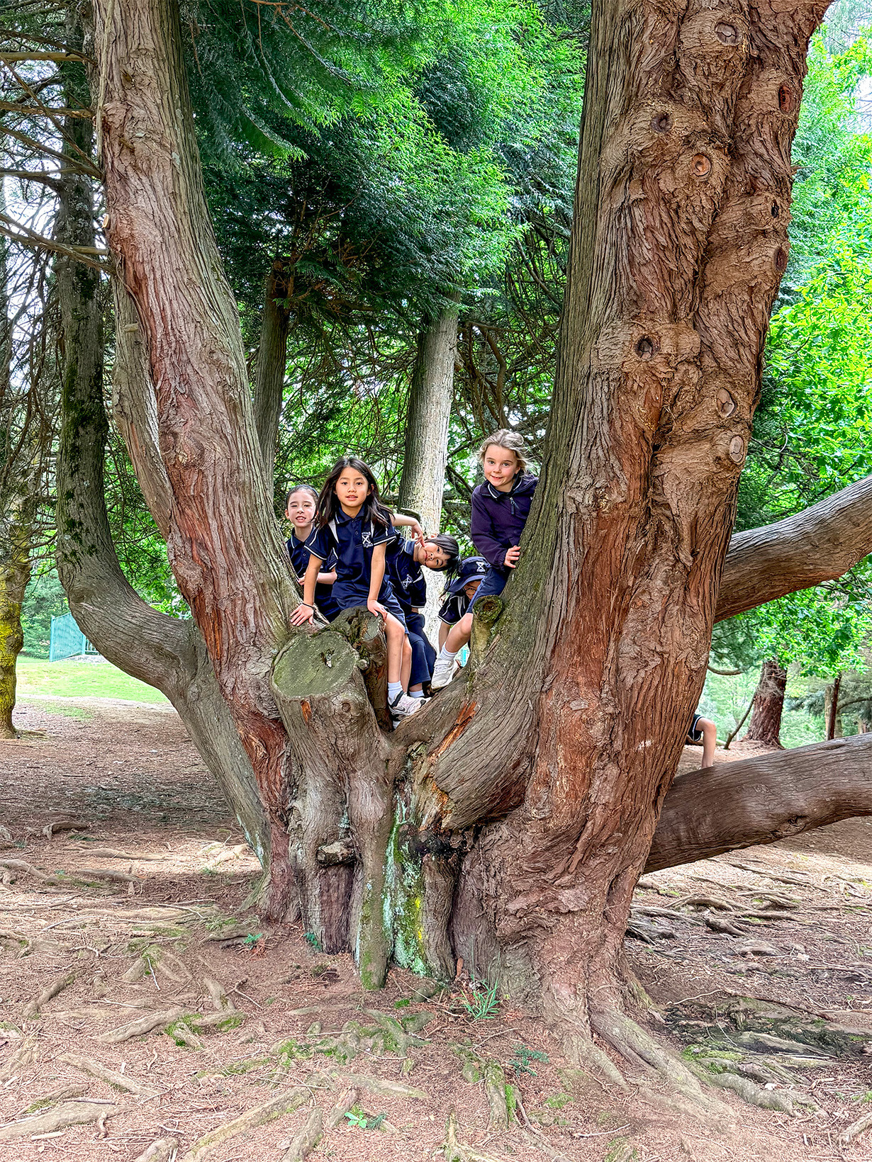 St. Andrews Christian College