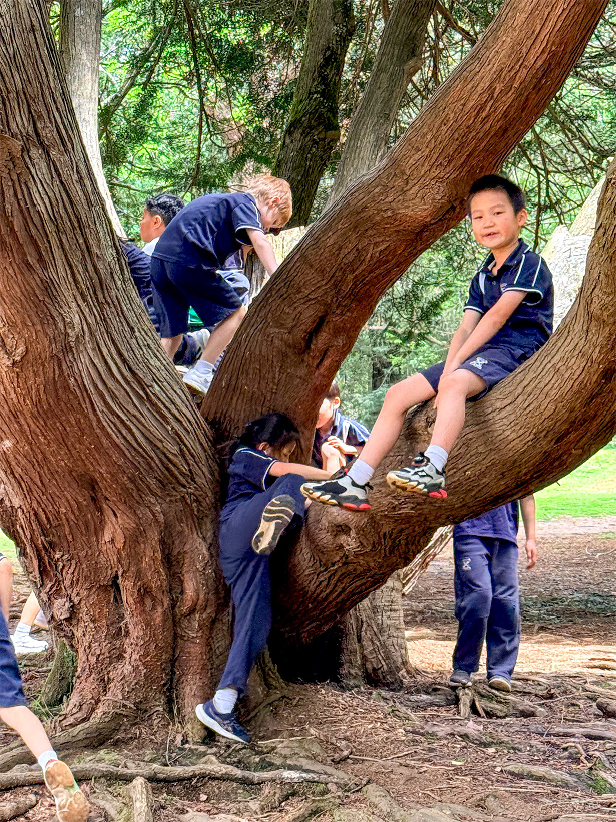 St. Andrews Christian College