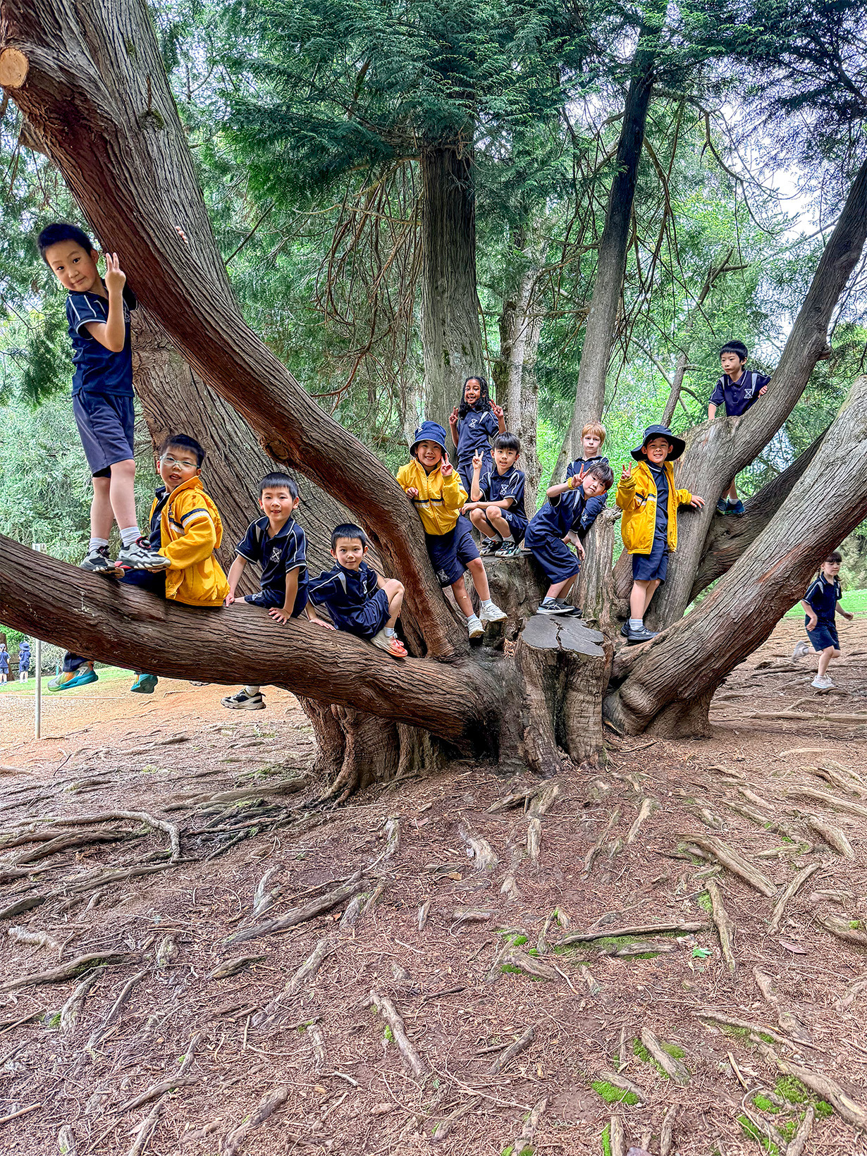 St. Andrews Christian College