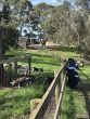 St. Andrews Christian College