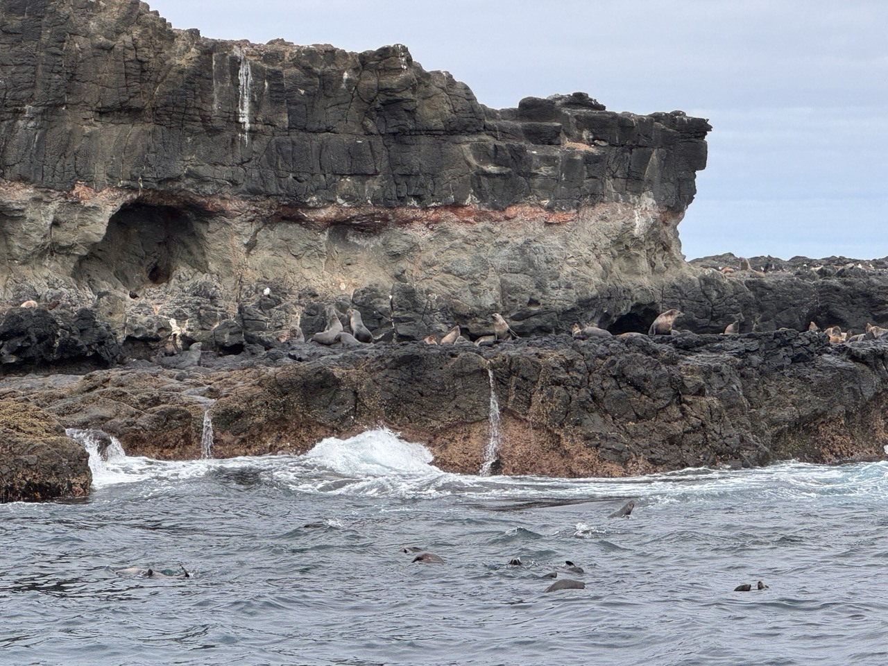 St. Andrews Christian College