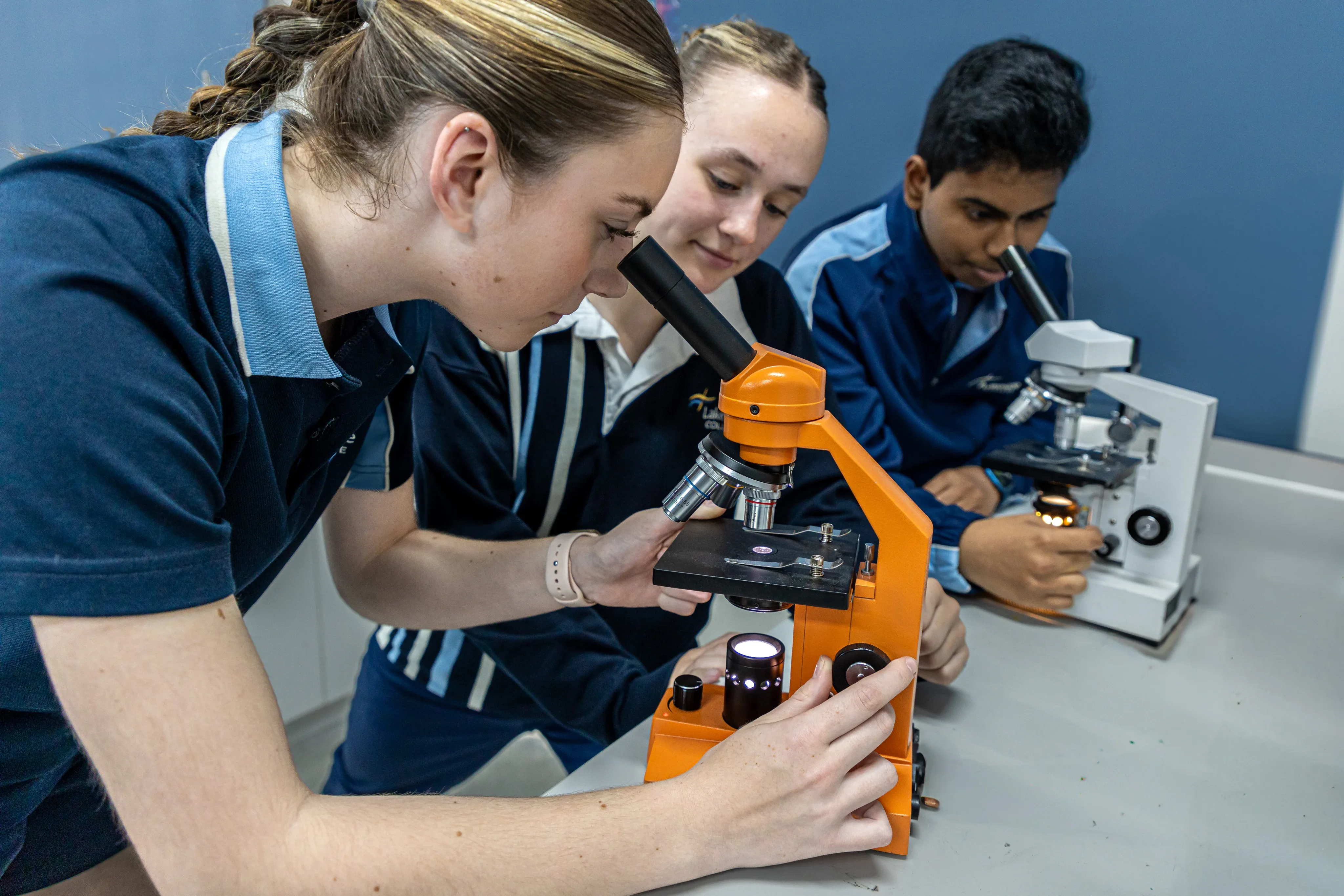 Lake Side College
